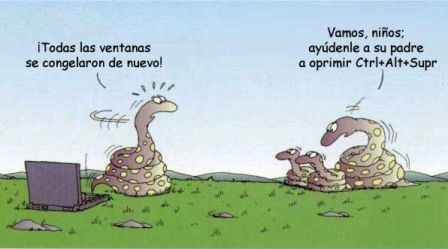 20060323202514-serpientes.jpg