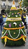 20060426100213-maio.jpg