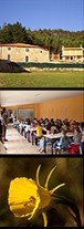 20060608112750-grnxa.jpg