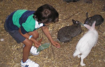 20060612095002-jacobo.jpg