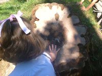 20060622130206-12-6-031.jpg