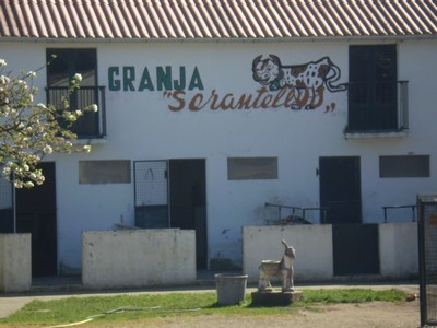 20080405215426-granxa.jpg