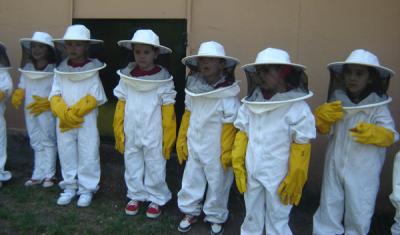 20080618005833-apicultores.jpg